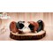 Hand Painted Ceramic Guinea Pig Salt and Pepper Shakers Ornament for Kitchen
